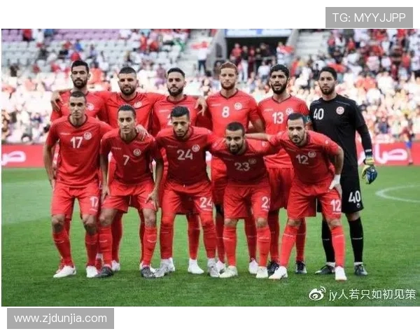 加纳与突尼斯精彩对决回放分析及比赛亮点总结